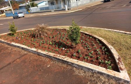 Canteiros nas rotatórias e trevos que dão acesso a Vitorino recebem plantio de flores
