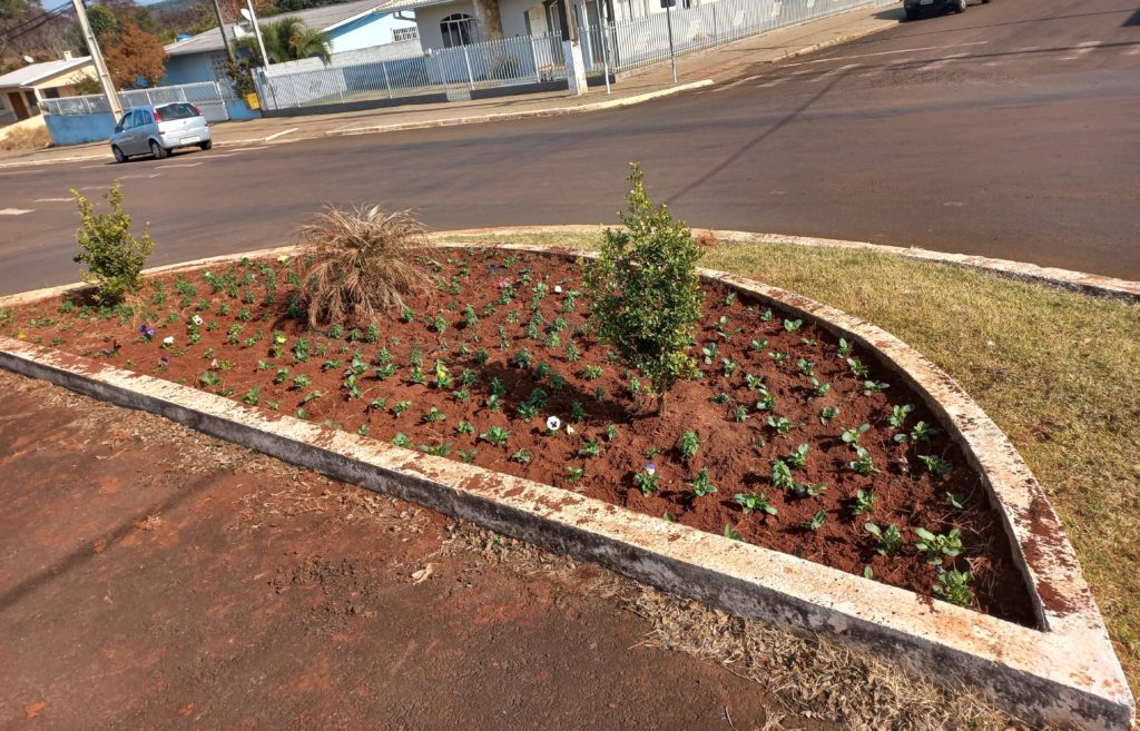Canteiros nas rotatórias e trevos que dão acesso a Vitorino recebem plantio de flores